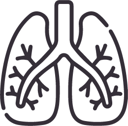 Lungs icon.